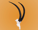Sable Skullie R