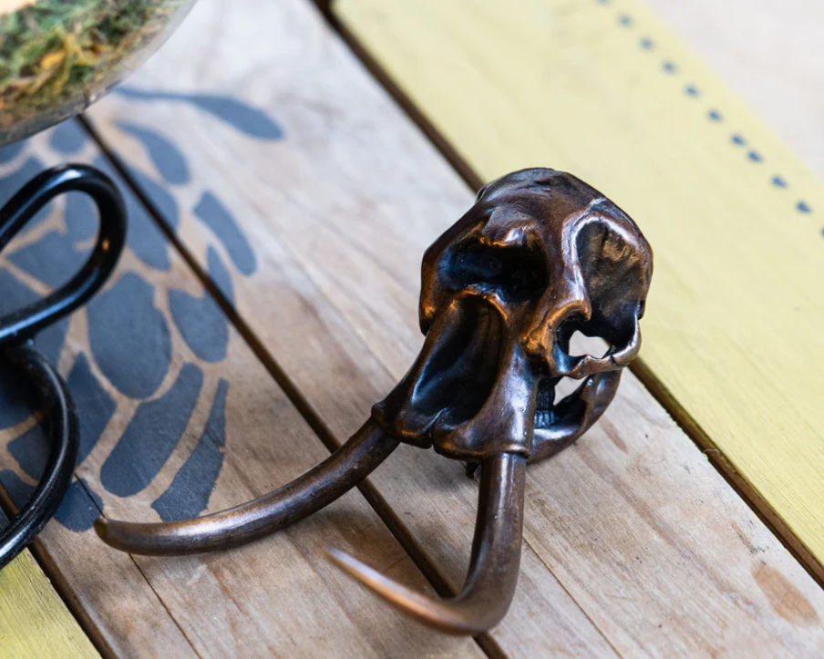 Bronze Elephant Skullie