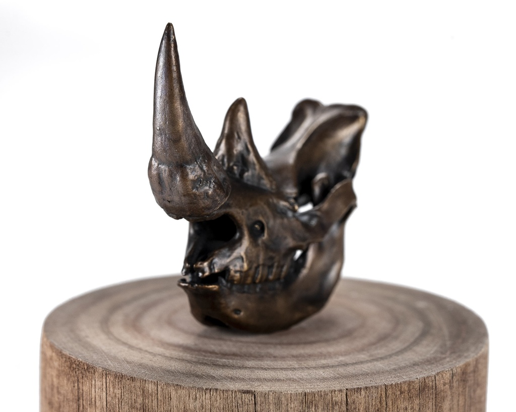 Bronze Rhino Skullie