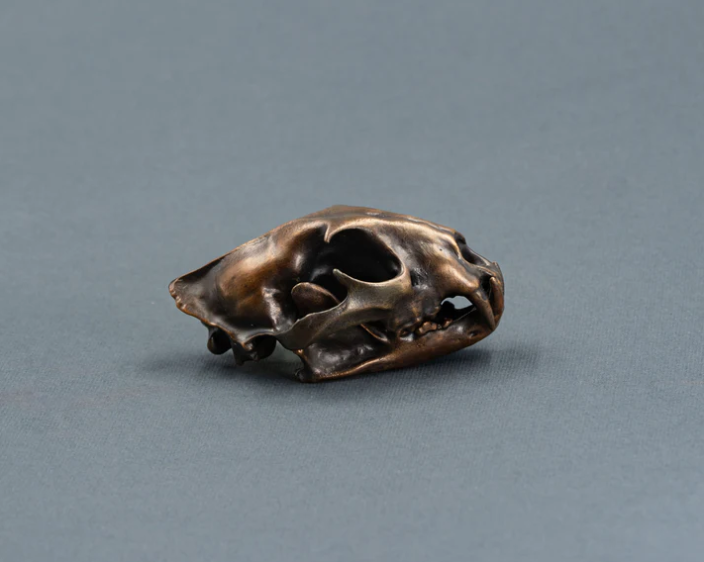 Bronze Leopard Skullie