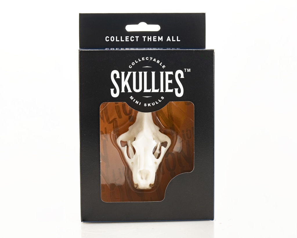 Lion Skullie R