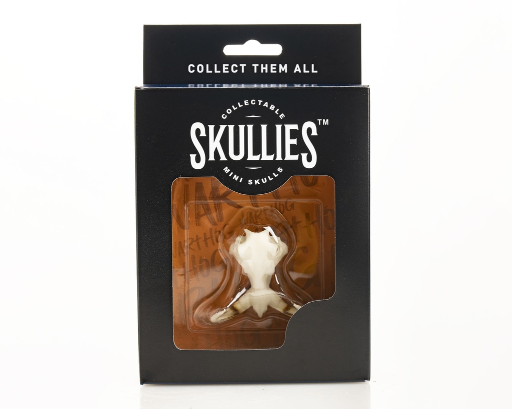 Warthog Skullie R