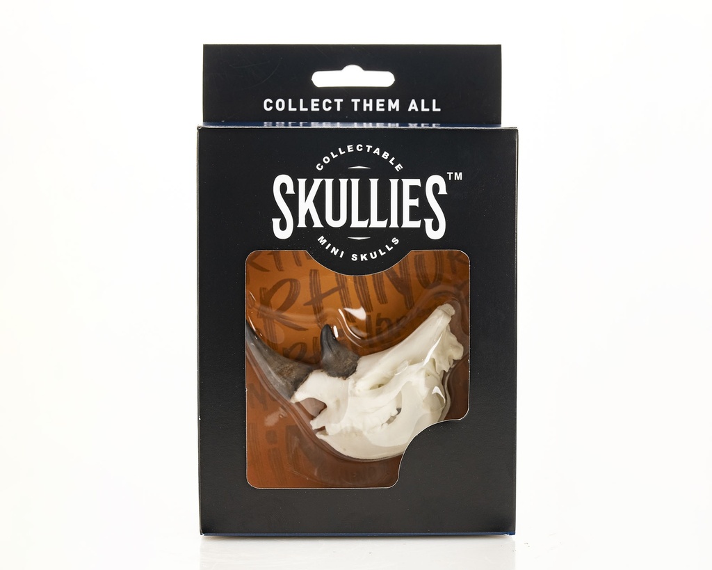 Rhino Skullie R