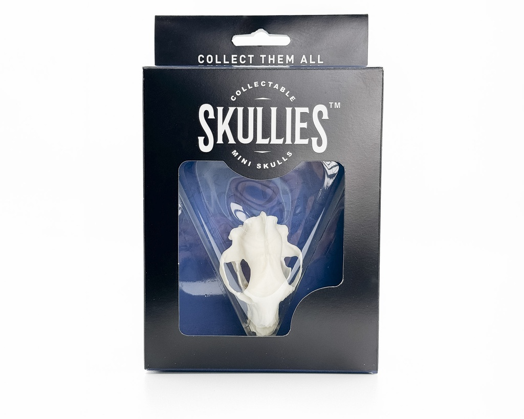 Black Bear Skullie R