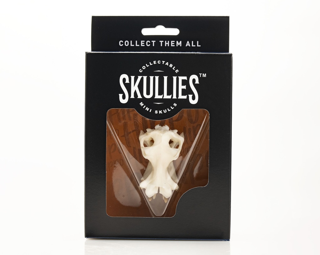 Hippo Skullie R