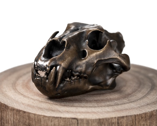 [BLIO] Bronze Lion Skullie