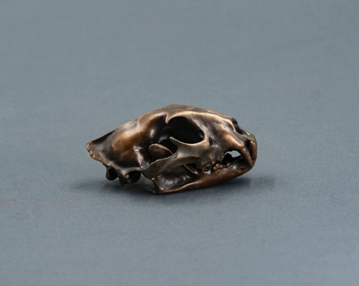 [BLEO] Bronze Leopard Skullie