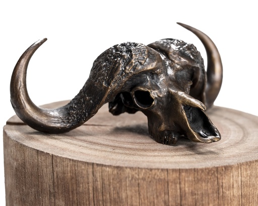 [BBUF] Bronze Buffalo Skullie