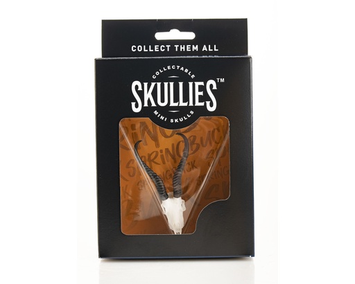 [RSPR] Springbuck Skullie R