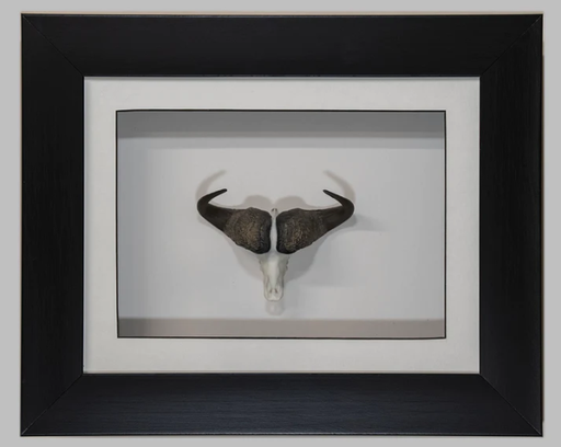 [SFRBUFF] Framed Buffalo Skullie